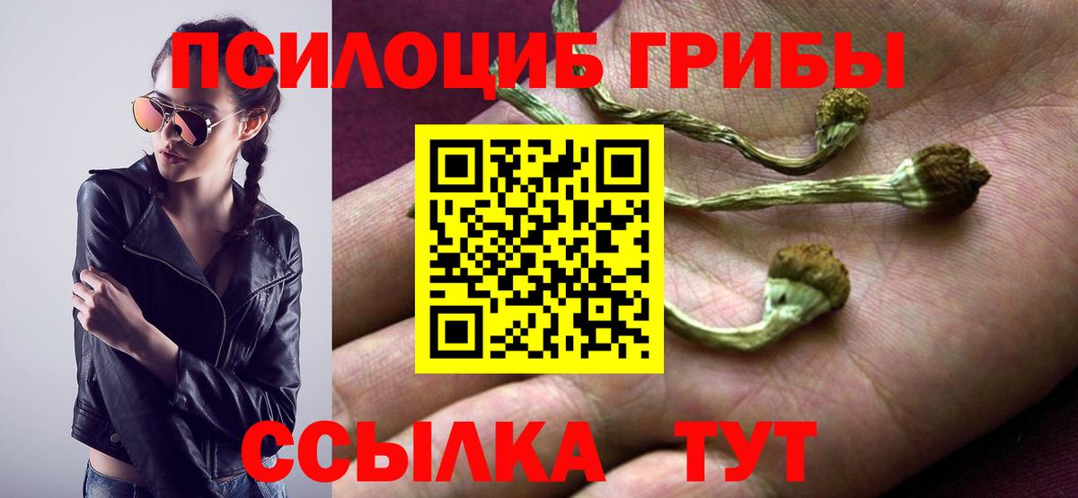 Псилоцибиновые грибы Psilocybine cubensis Малгобек