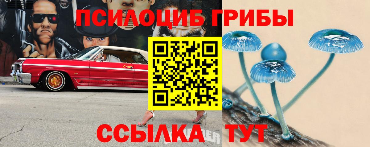 Малгобек  Галлюциногенные грибы Cubensis  Псилоцибиновые грибы GOLDEN TEACHER  Вход с VPN 